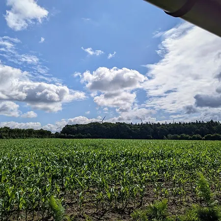 Ferienhaus Bornholt Dom wakacyjny Bornholt